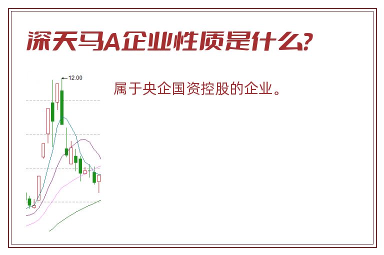 深天马A企业性质是什么？