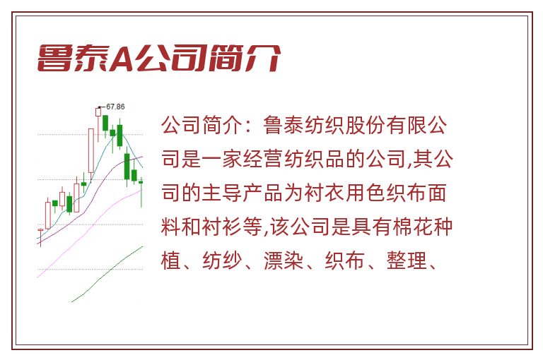 鲁泰A公司简介