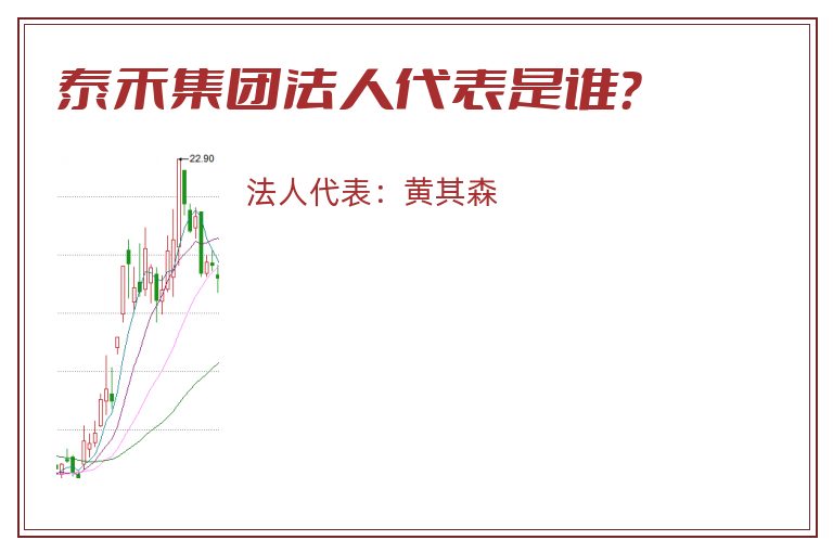 泰禾集团法人代表是谁？