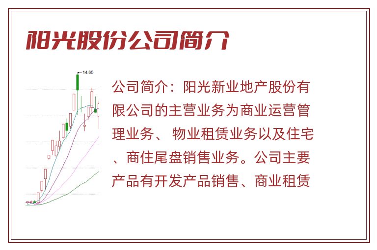 阳光股份公司简介