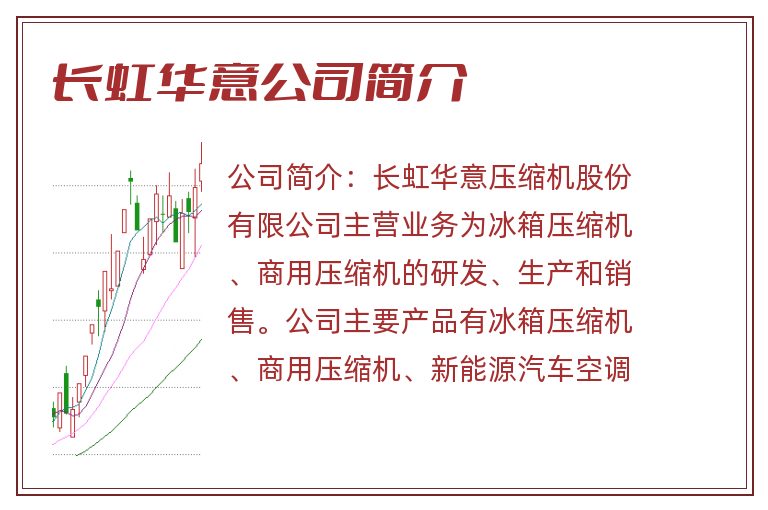 长虹华意公司简介