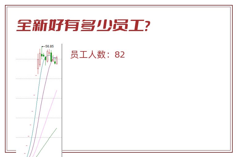 全新好有多少员工?