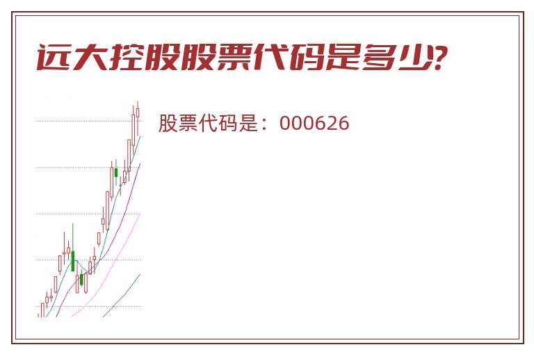 远大控股股票代码是多少？