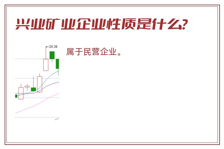 兴业矿业企业性质是什么？