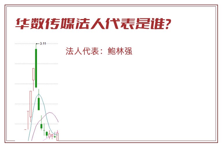 华数传媒法人代表是谁？