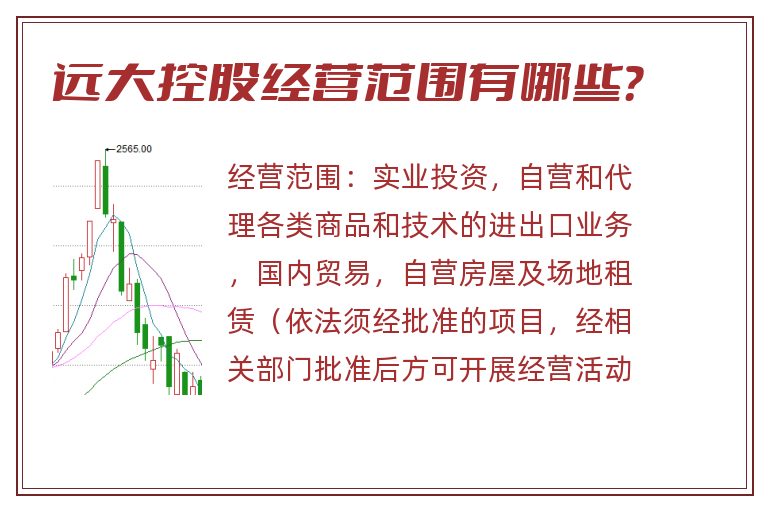 远大控股经营范围有哪些?.jpg 远大控股.jpg
