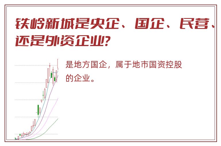 铁岭新城是央企、国企、民营、还是外资企业？