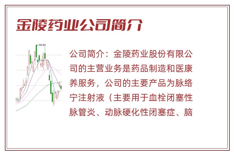 金陵药业公司简介