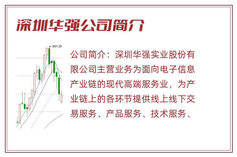 深圳华强公司简介