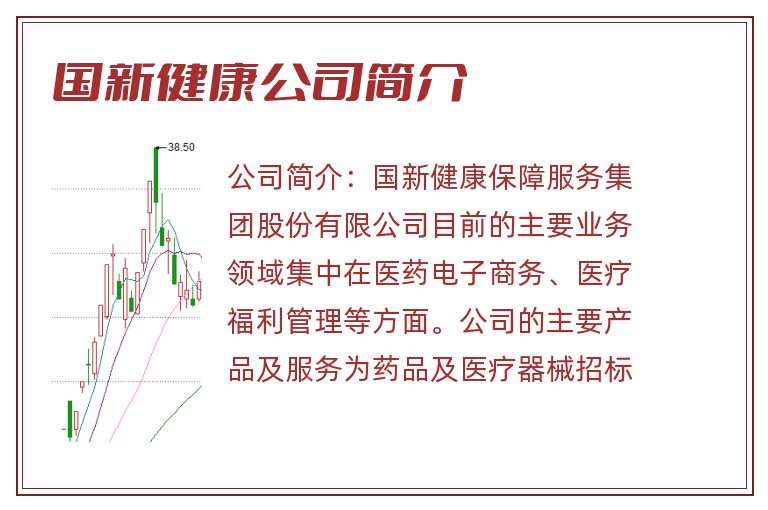 国新健康公司简介