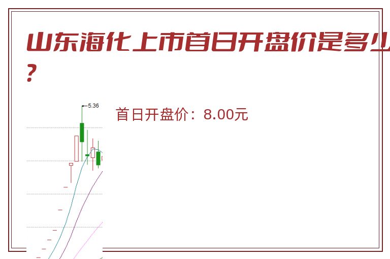 山东海化.jpg