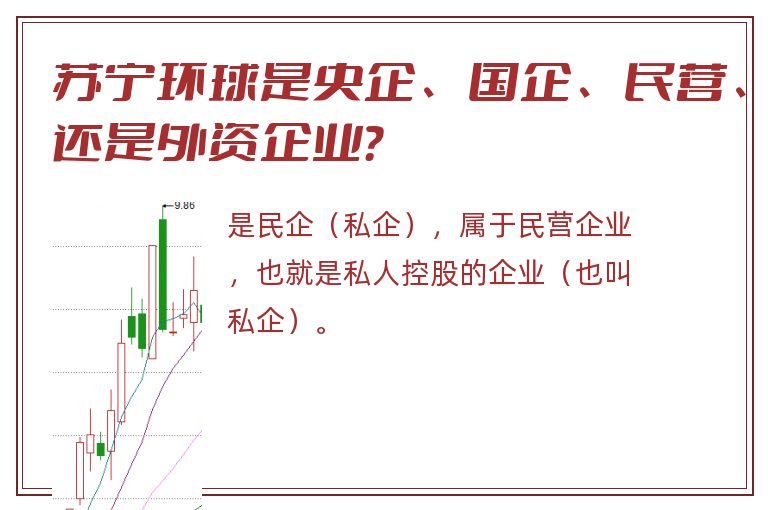 苏宁环球是央企、国企、民营、还是外资企业？