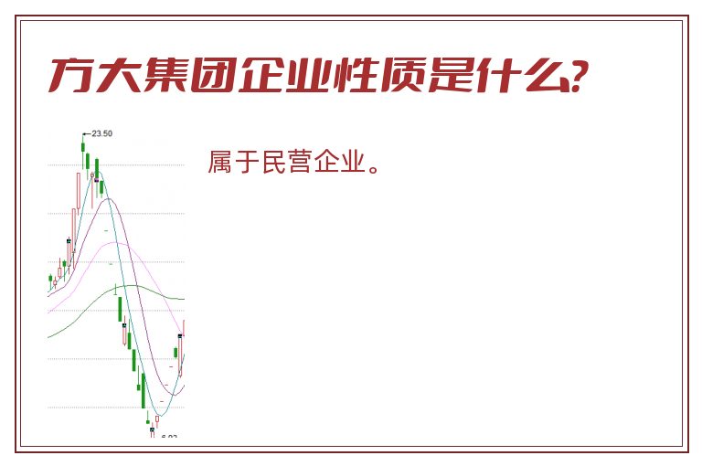 方大集团企业性质是什么？