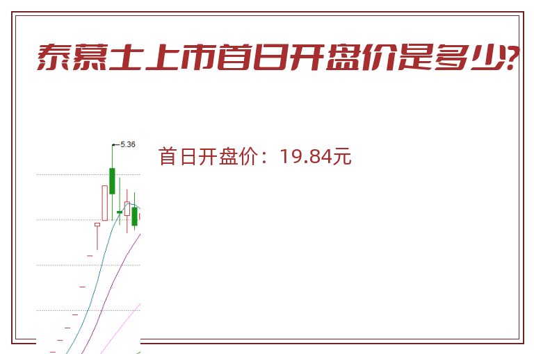 泰慕士上市首日开盘价是多少？