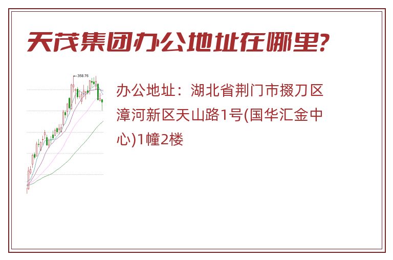 天茂集团办公地址在哪里？