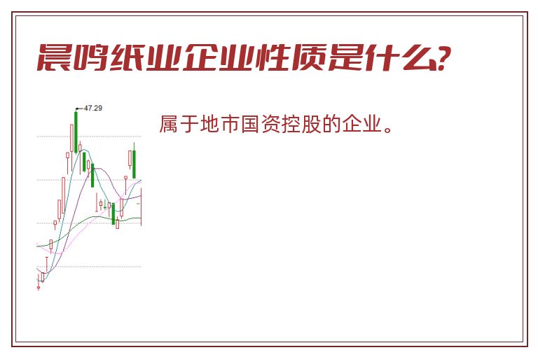 晨鸣纸业企业性质是什么？
