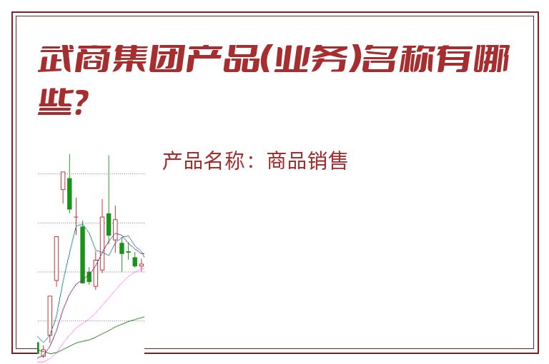 武商集团产品（业务）名称有哪些？