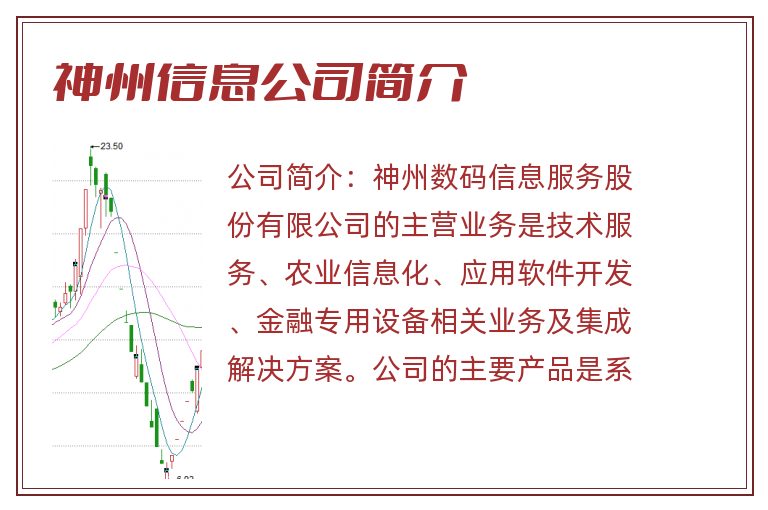 神州信息公司简介