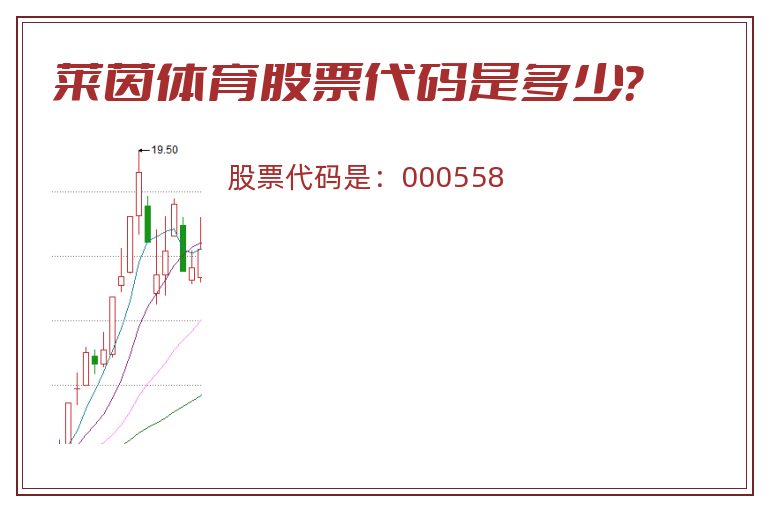 莱茵体育股票代码是多少？