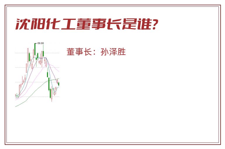 沈阳化工董事长是谁？