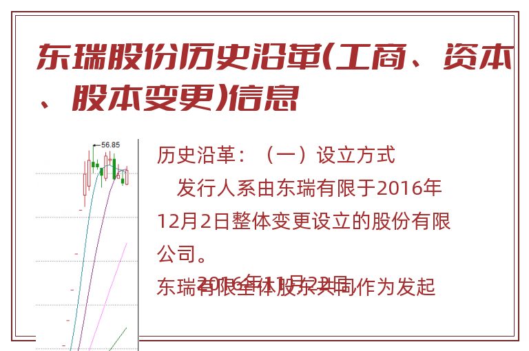 东瑞股份历史沿革（工商、资本、股本变更）信息