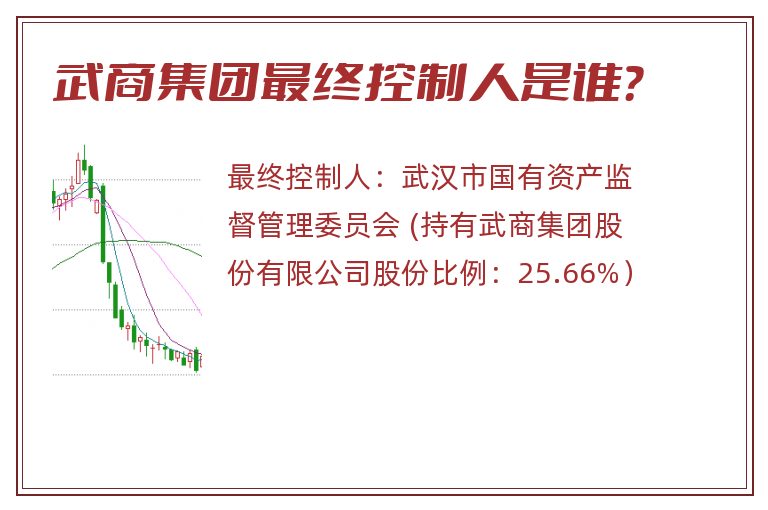 武商集团最终控制人是谁？