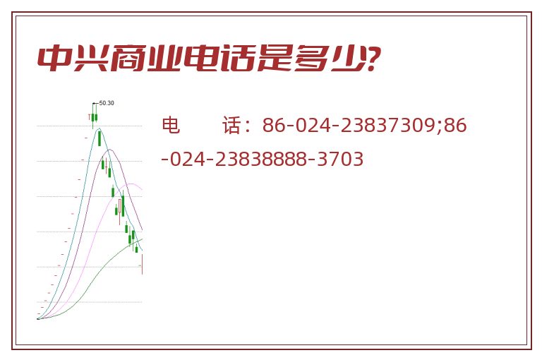 中兴商业电话是多少？