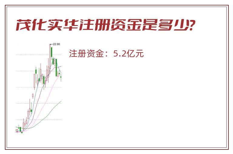 茂化实华注册资金是多少？