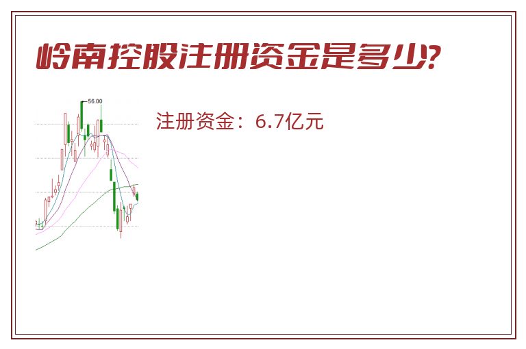 岭南控股注册资金是多少？