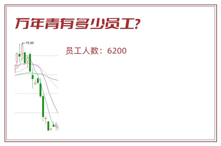万年青有多少员工?.jpg 万年青.jpg