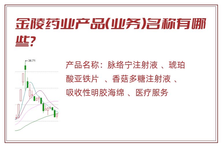 金陵药业产品（业务）名称有哪些？