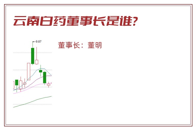 云南白药董事长是谁？