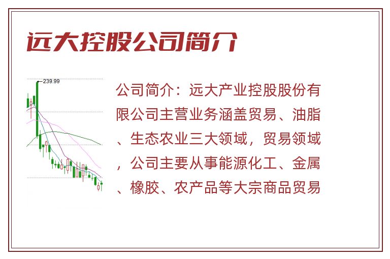 远大控股公司简介