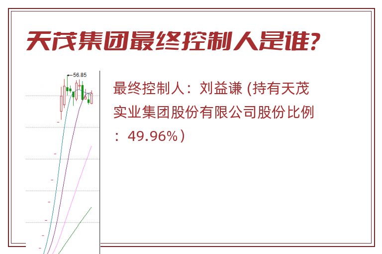 天茂集团最终控制人是谁？
