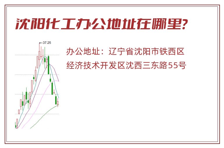 沈阳化工办公地址在哪里？