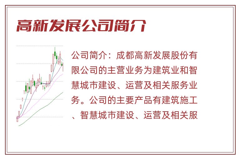 高新发展公司简介