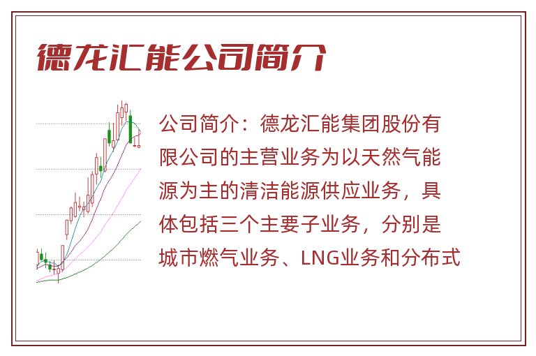 德龙汇能公司简介
