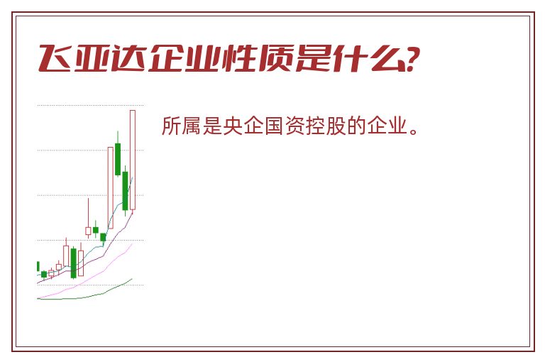 飞亚达企业性质是什么？