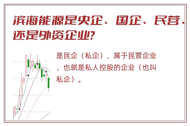 滨海能源是央企、国企、民营、还是外资企业？