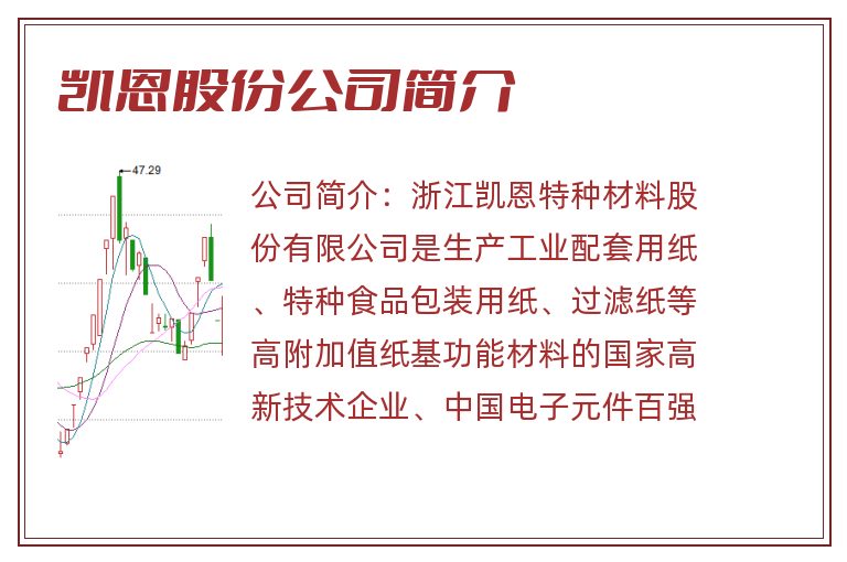 凯恩股份公司简介