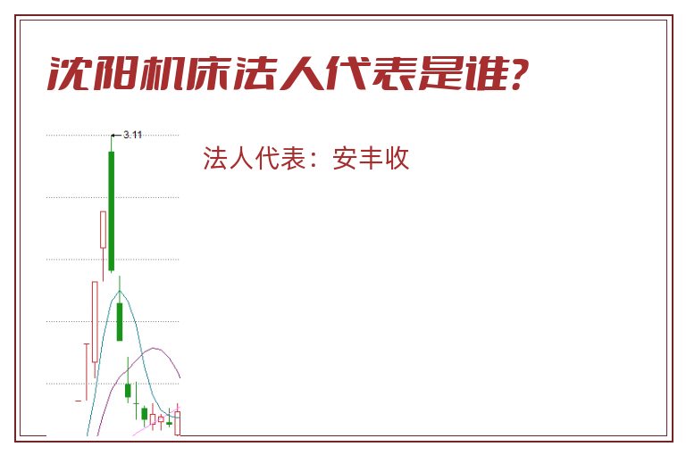 沈阳机床法人代表是谁？