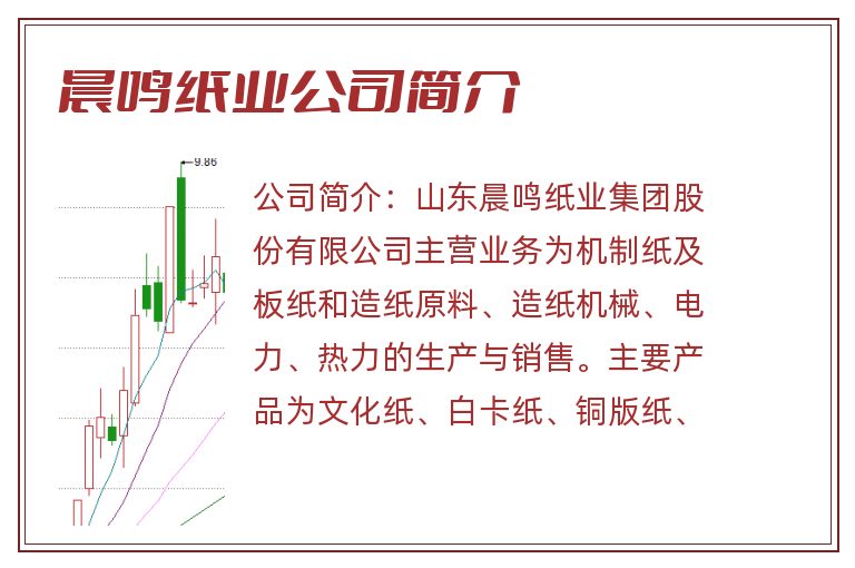 晨鸣纸业公司简介