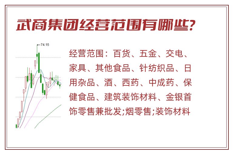 武商集团经营范围有哪些?.jpg 武商集团.jpg
