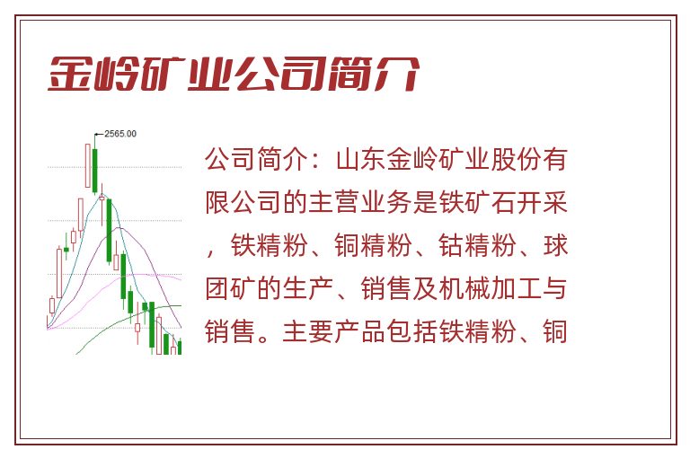 金岭矿业公司简介