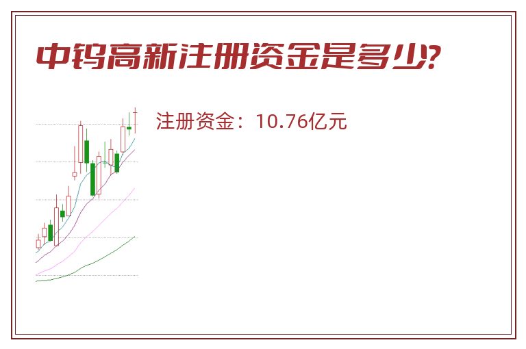 中钨高新注册资金是多少？