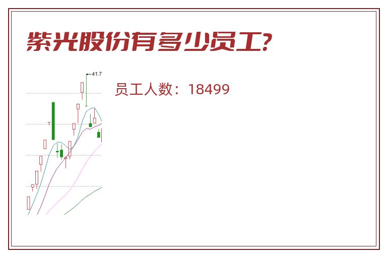 紫光股份有多少员工?.jpg 紫光股份.jpg