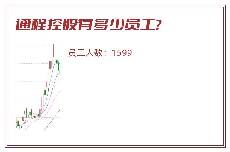 通程控股有多少员工?.jpg 通程控股.jpg