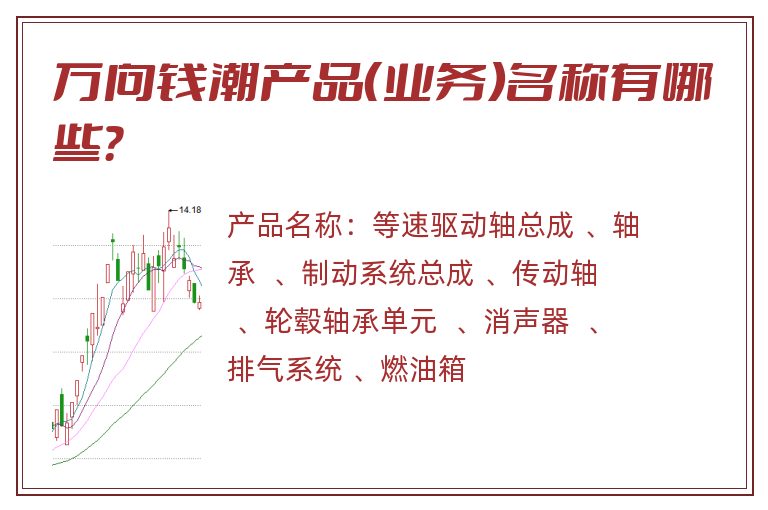 万向钱潮产品（业务）名称有哪些？