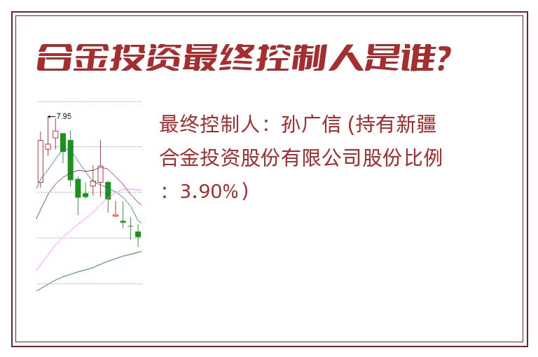合金投资最终控制人是谁？