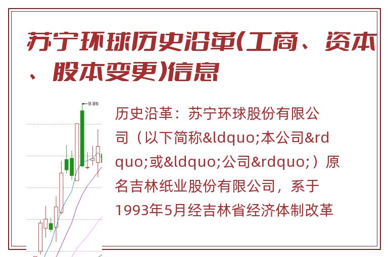 苏宁环球历史沿革(工商、资本、股本变更)信息.jpg 苏宁环球.jpg